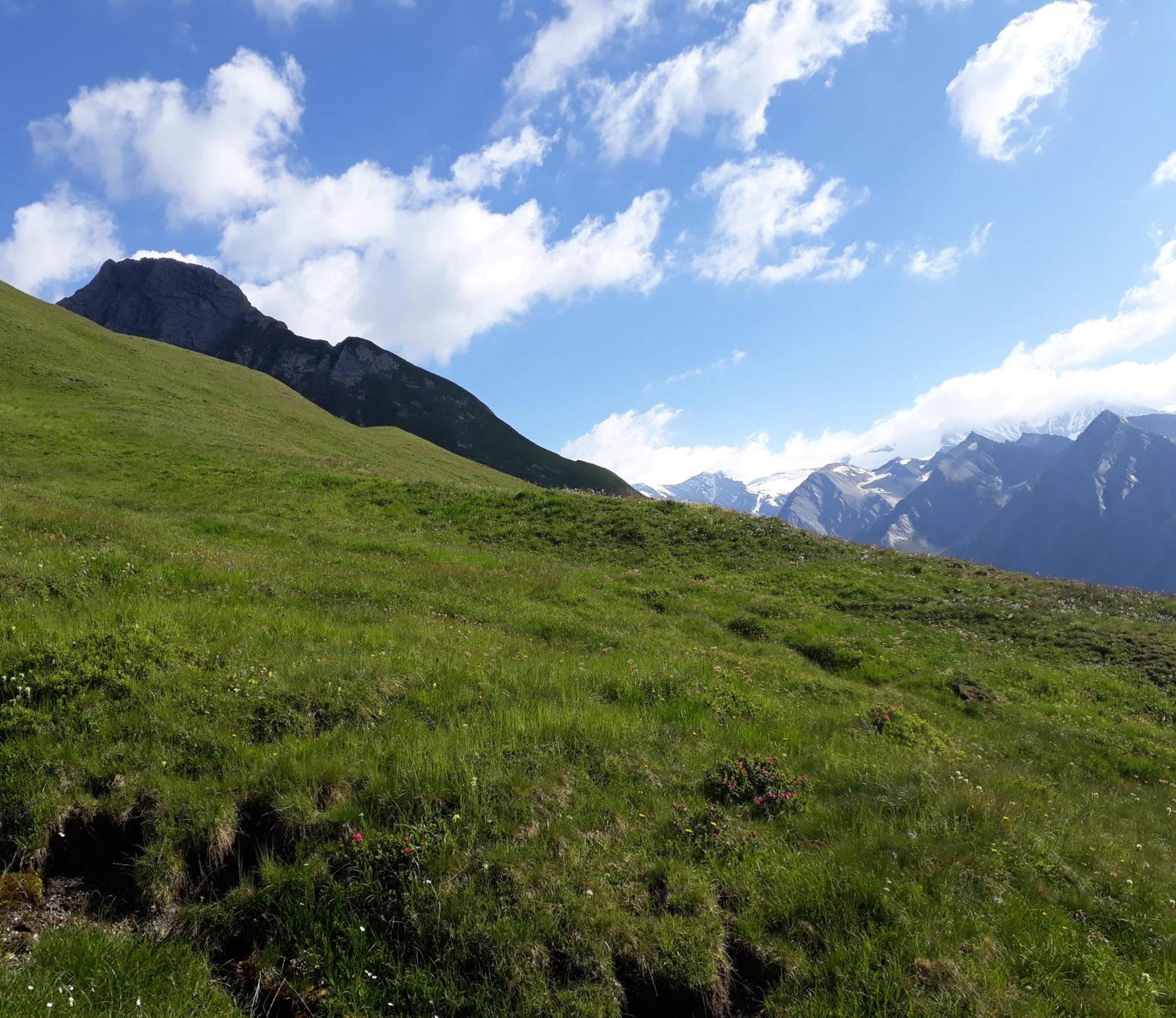 Sonnenhof Lägenhet Kals-am Großglockner Exteriör bild